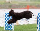 20170426-ag-0775
