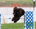 20170426-ag-0779