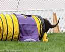 20170426-ag-0780