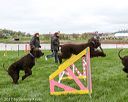 20170426-ag-2218