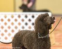 20170426-pa-0047