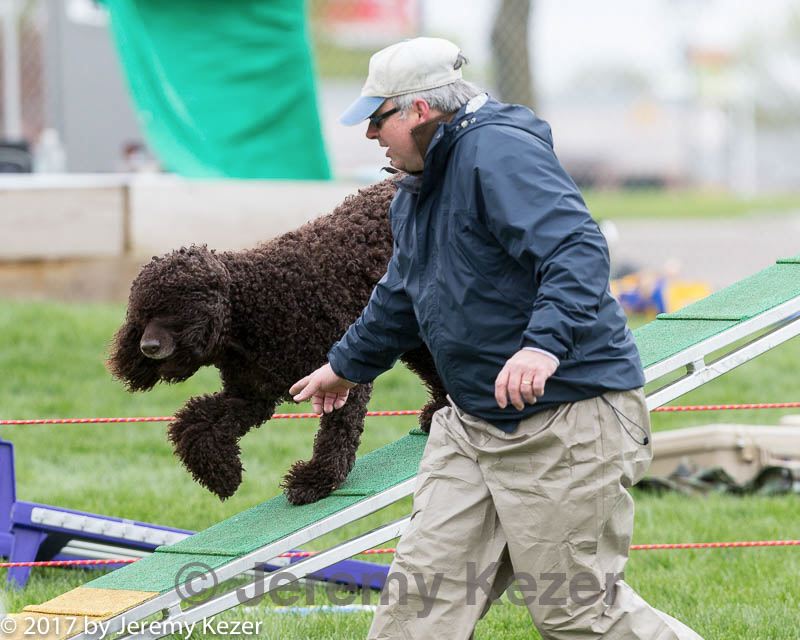20170426-ag-1592.jpg