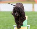 20170426-ag-0981
