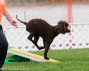 20170426-ag-0330