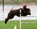 20170426-ag-0075