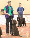 20170427-ga-0005