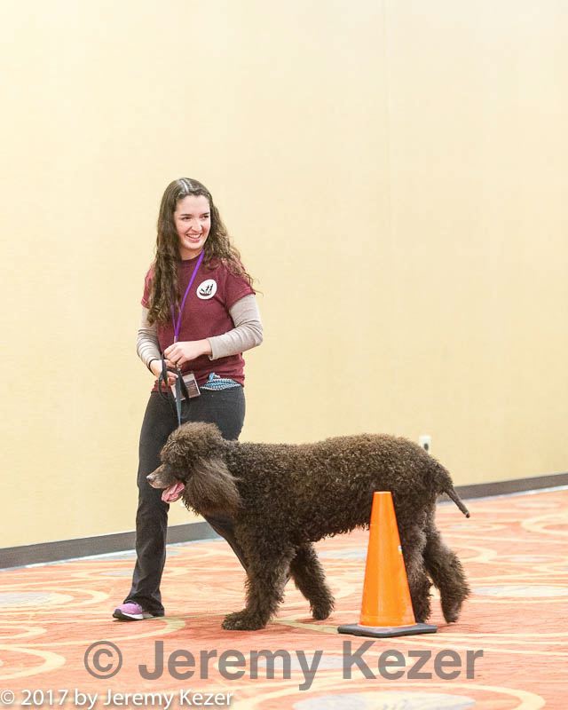 20170427-ga-0085.jpg