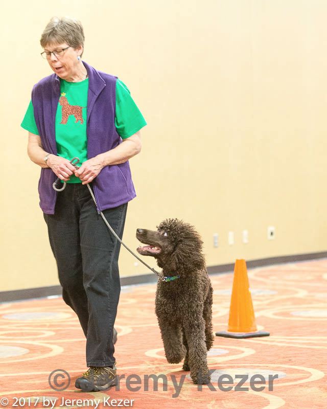 20170427-ga-0088.jpg