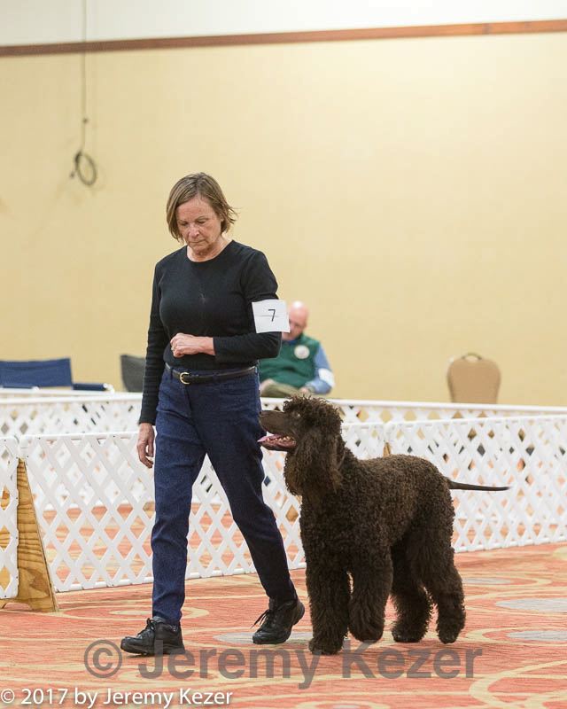 20170427-ob-0348.jpg