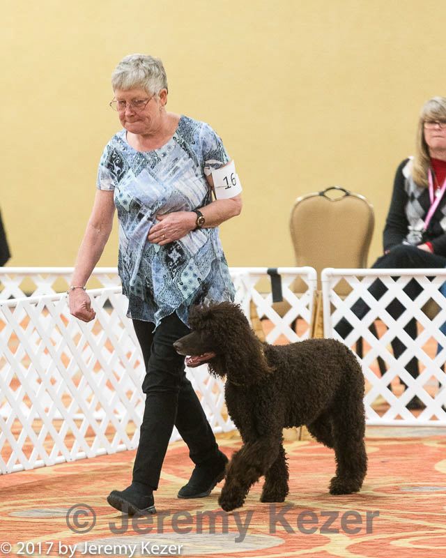 20170427-ob-0112.jpg
