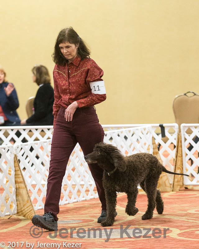 20170427-ob-0141.jpg