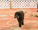 20170427-ob-0042