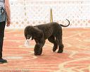 20170427-ob-0060