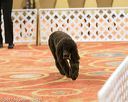 20170427-ob-0063