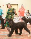 20170428-co-0905