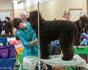 20170428-c-0038