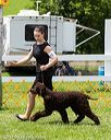 20170715-0121