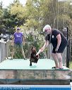 20170812-0654