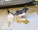 20170819-awd-0111