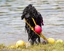 20170819-awd-0179