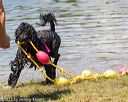 20170819-awd-0183