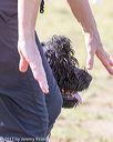 20170819-awd-0185