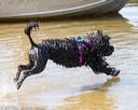 20170819-awd-0187