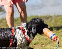 20170819-awd-0270