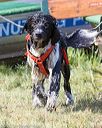 20170819-awd-0347