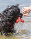 20170819-awd-0384