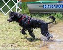 20170819-awd-0428