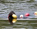 20170819-awd-0435