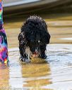 20170819-awd-0482