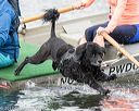 20170819-cwd-0012