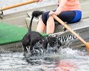 20170819-cwd-0013