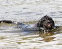 20170819-cwd-0067