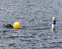 20170819-cwd-0159