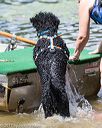 20170819-cwd-0174