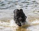 20170819-cwd-0196