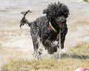 20170819-cwd-0208