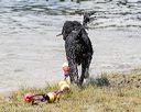 20170819-cwd-0216