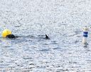 20170819-cwd-0282