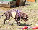 20170819-cwd-0291