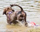 20170819-cwd-0293