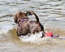 20170819-cwd-0298