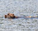 20170819-cwd-0322
