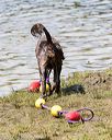 20170819-cwd-0342