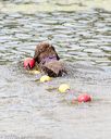 20170819-cwd-0353
