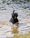 20170819-cwd-0425
