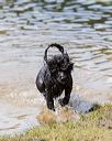 20170819-cwd-0428